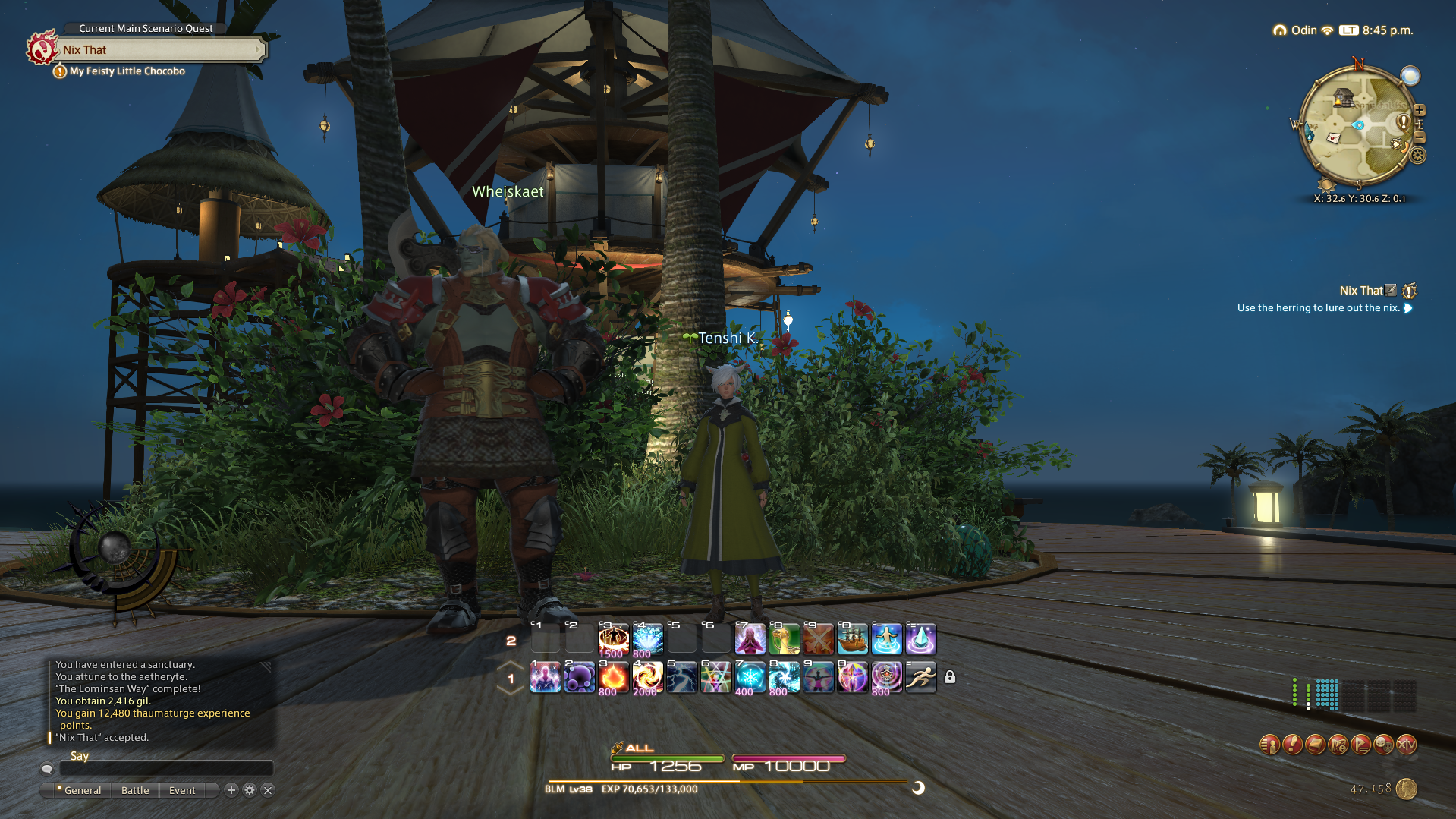 FFXIV Screenshot 4